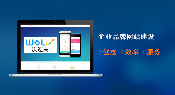 企业品牌网站定制